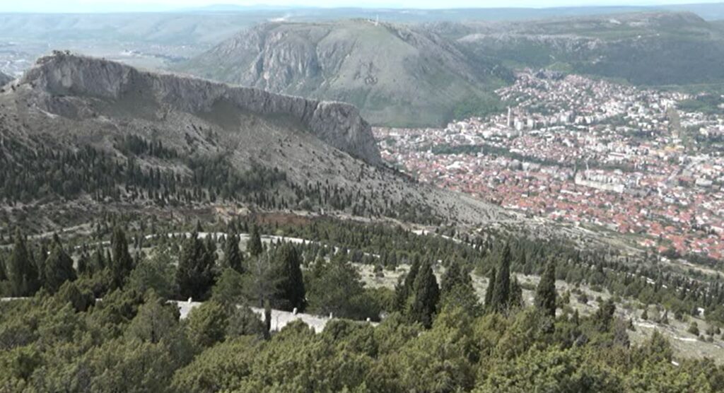 PROJEKT BORANKA Počinje pošumljavanje opožarenih područja