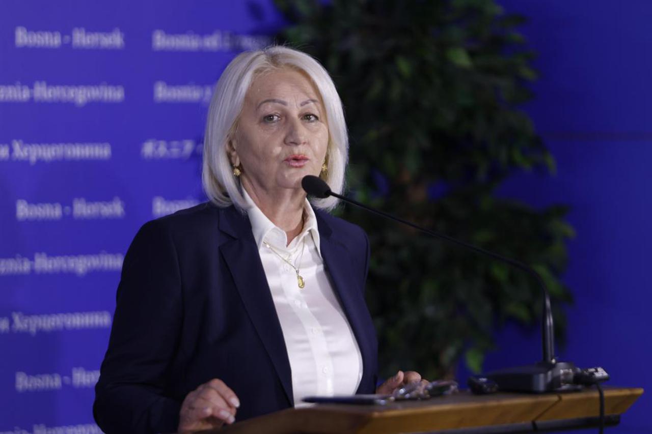 BIH Reformska agenda: niži troškovi energije, kvalitetnije obrazovanje i registracija tvrtke u tri dana