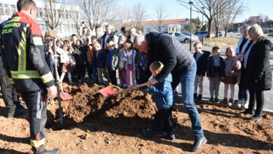 Sadnja japanske trešnje ispred Doma zdravlja u Čitluku uz sudjelovanje djece i predstavnika Općine
