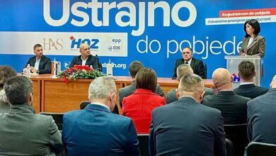 Logo HDZ BiH i Ilija Cvitanović uz prikaz Mostara i zgrade Vlade HNŽ