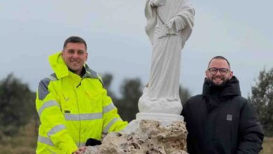 Maslinik u Nadinu oblikovan u znak križa s Gospinim kipom u središtu, najveći ekološki maslinik u Hrvatskoj