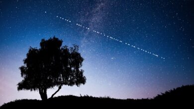 Starlink satelitski terminal za pružanje internetskih usluga u Bosni i Hercegovini