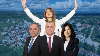 Izborni rezultati za Darijanu Filipović i kandidate iz Brotnja na Općim izborima 2026.